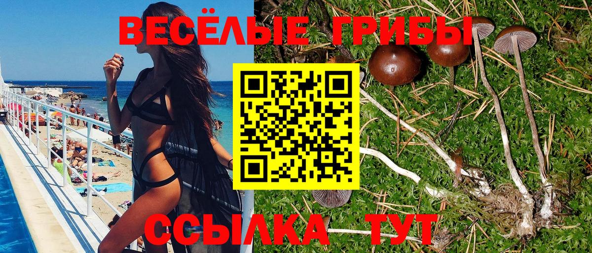 Галлюциногенные грибы GOLDEN TEACHER Ачхой-Мартан